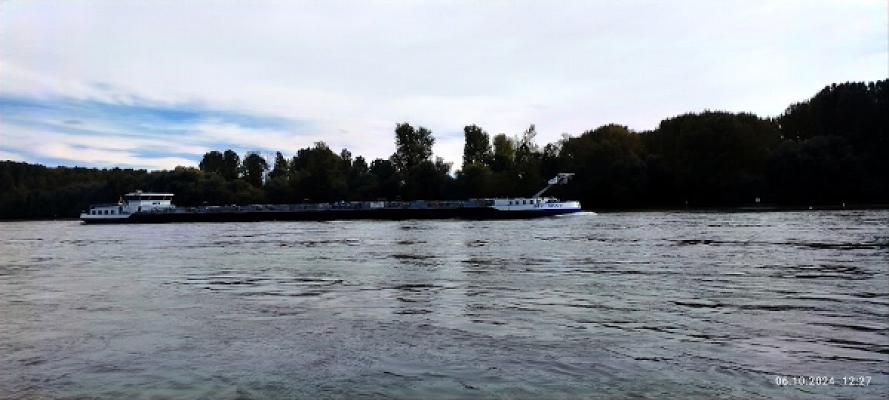 SP – Der Maler