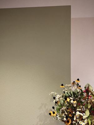 Farben Reiner Malerbetrieb + Fachgeschäft