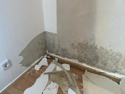 Farbenland GmbH Andreas Gsell