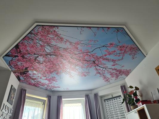682c98a809a7a