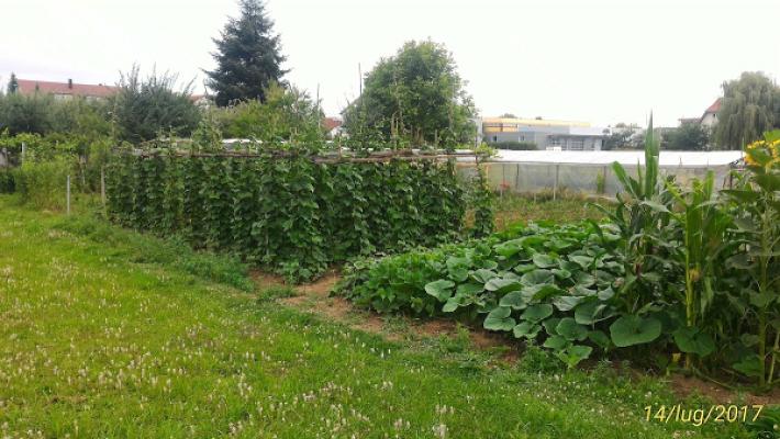 AGO - Maler - und Stuckateur-GmbH