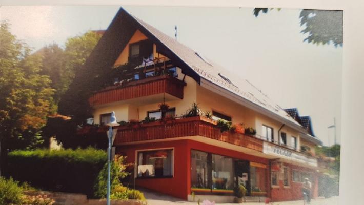 Malergeschäft Hugo Fecker GmbH