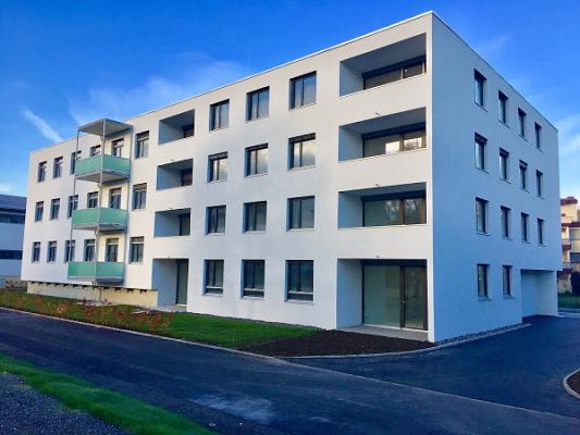 Bodenmüller GmbH & Co.KG Putz | Stuck | Farbe