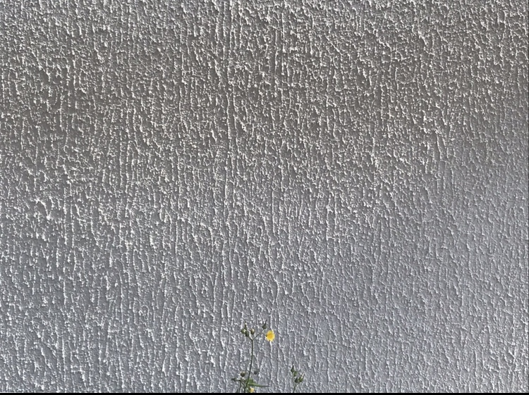682c9bb19325e