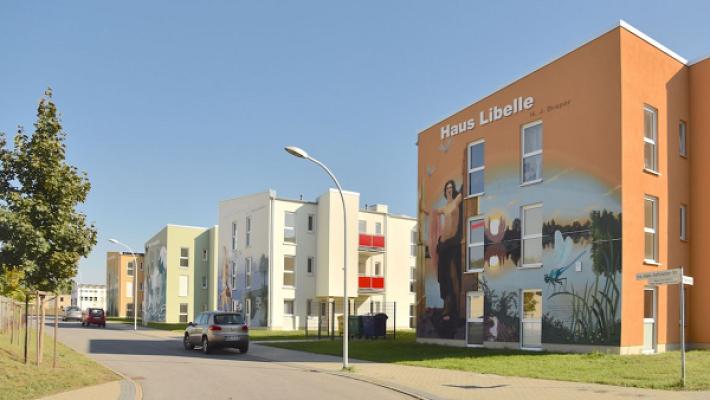 Frank Beutel, Maler - Grafiker - Wandmalerei