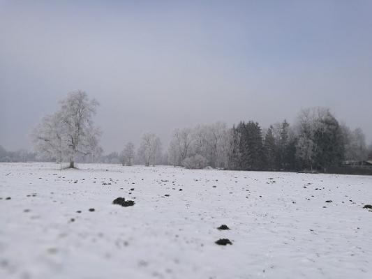 Andreas Schuster Maler- u. Lackiererbetrieb