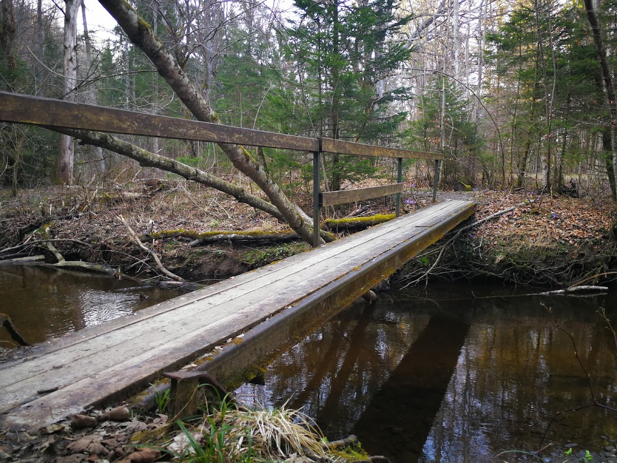 682ca06650602