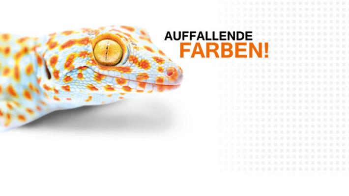 W! Malerfachbetrieb Wiesinger