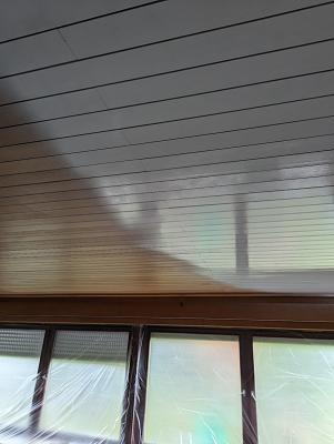 Werner jun. Gottlieb