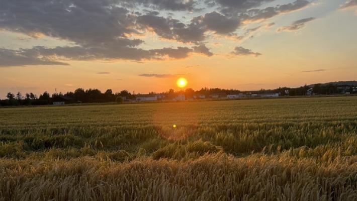 Gela Malerei & Gerüstbau