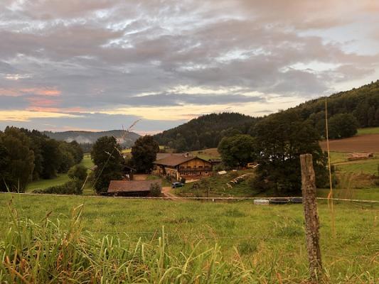 Der Starzenbauer Biohof