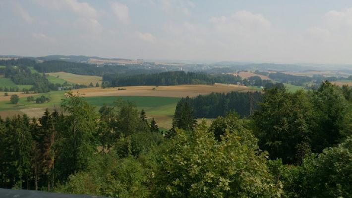Maler-Wich GmbH