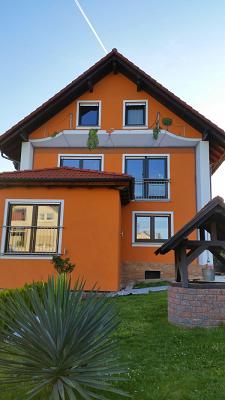 Atelier Malpforte Mike Zscheckel 3D Boden-Wand-Deckenmalerei