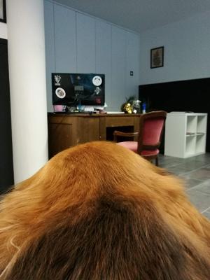 Hermann & Rudolf Hürttle GmbH