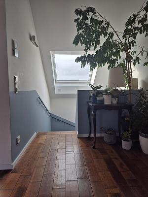 FARBDEKO FD Malerfachbetrieb GmbH