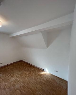 ARDITO kreative Wandgestaltung GmbH