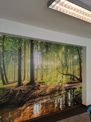 Cardella Baudekoration