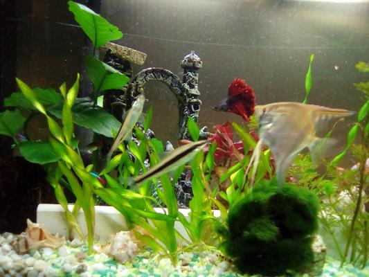 Ulrich Tropp Inh. Andrea Häuser e.K.