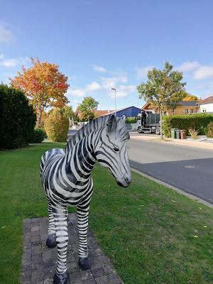 Malerbetrieb Albert, Inh. Heike Albert