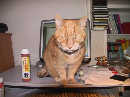 Malerei + Bodendesign Kerstin Gerlach