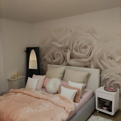 Feinstrich Malermeister Felix Sasse