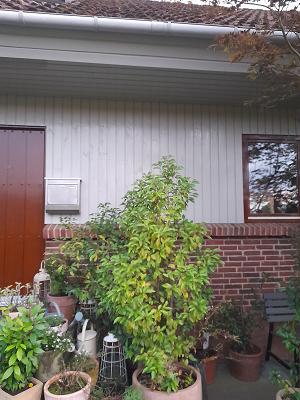 682ccecc29b50
