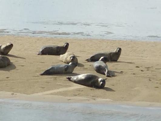 Jacobs Malermeisterbetrieb