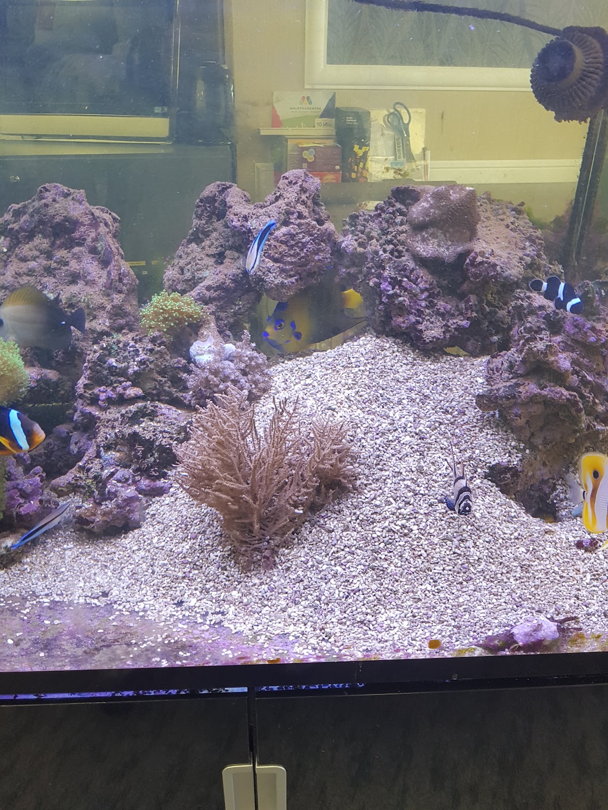 682cd3e2bb8b6