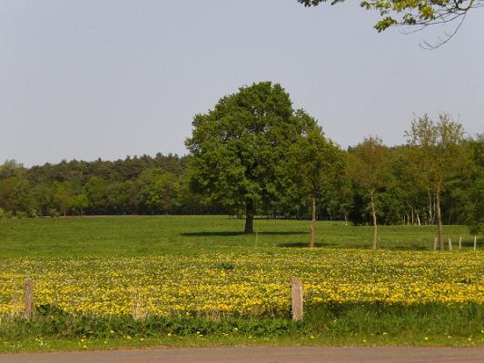 Malereibetrieb Wienberg