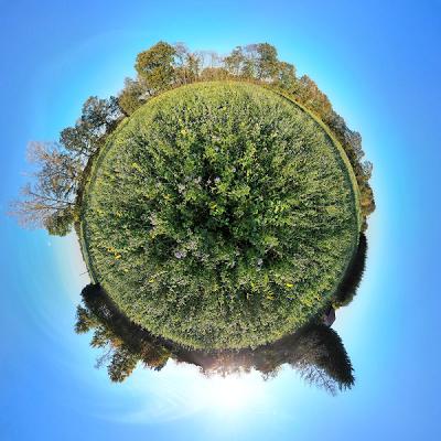 Frank Stegemann Raumgestaltung