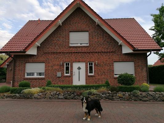 Ronne der Maler, Büro und Ausstellung