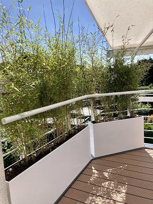 682d0132372ac