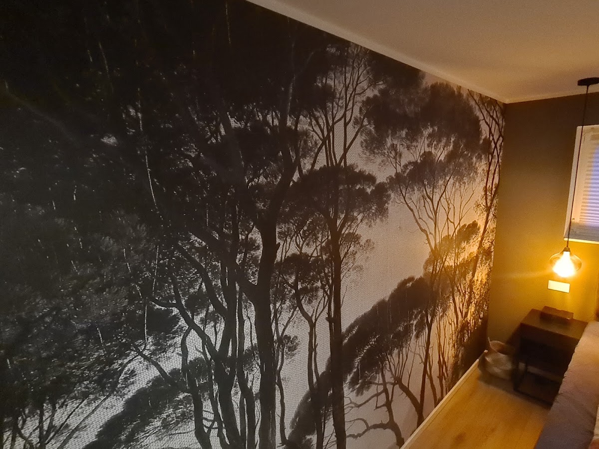 682d01dd81822