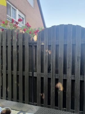 Malerbetrieb Nils Linck