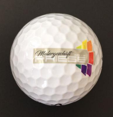 Malergeschäft Friese GmbH & Co. KG