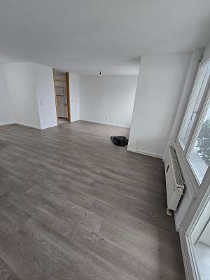 Dienstleistungen Daniel Thiel