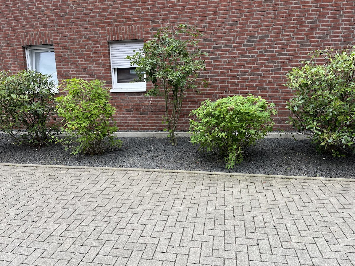 682d05dd96872