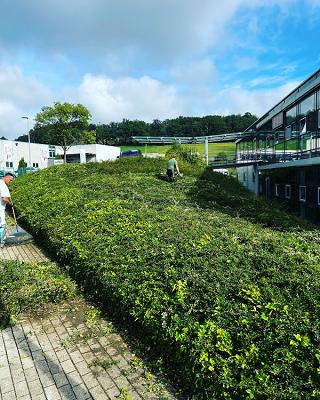 D.K Hausmeisterservice und Elektromeisterbetrieb | Radevormwald