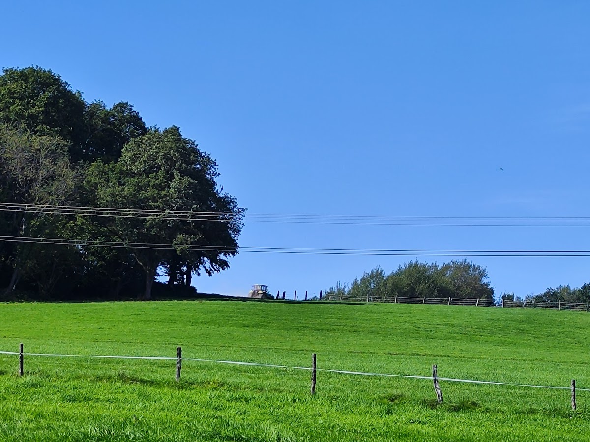 682d094100500