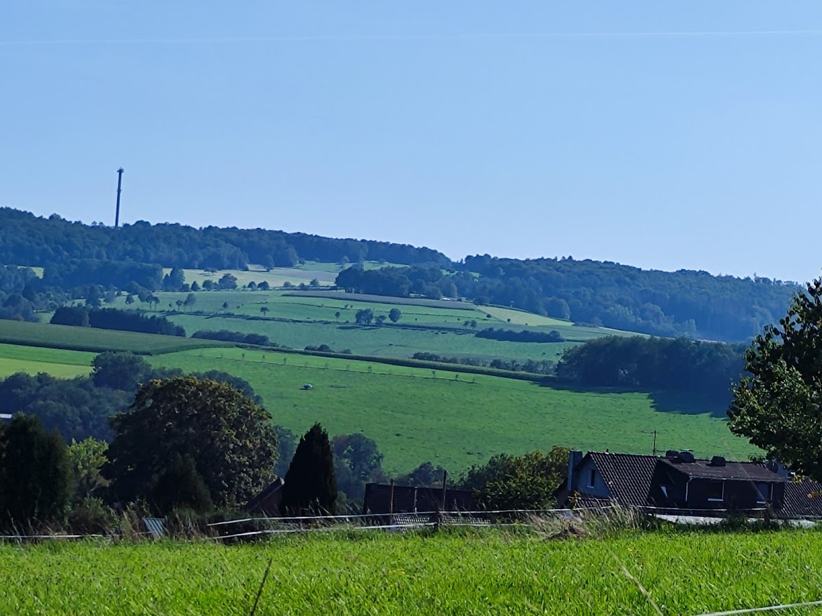 682d094251559