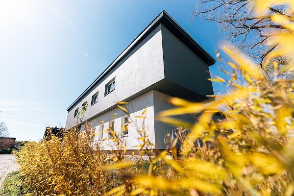 André Goldmann, Malermeister