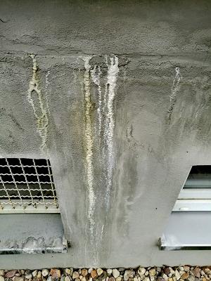 682c7d7011685