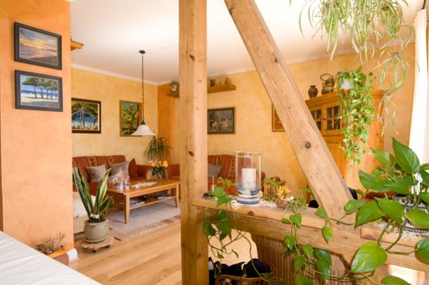 Maler- und Kunstdesign Dani