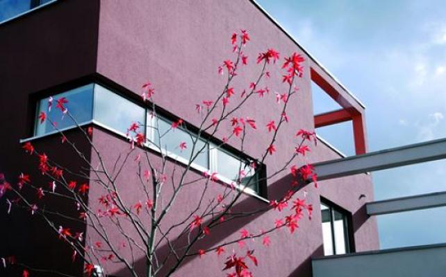 Frank Schneider Malermeister/Gerüstbau