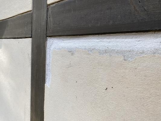 pigmentum restaurierung