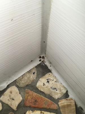 Claus Hansen Malereibetrieb GmbH