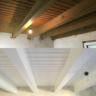 Maler Bischoff Meisterbetrieb