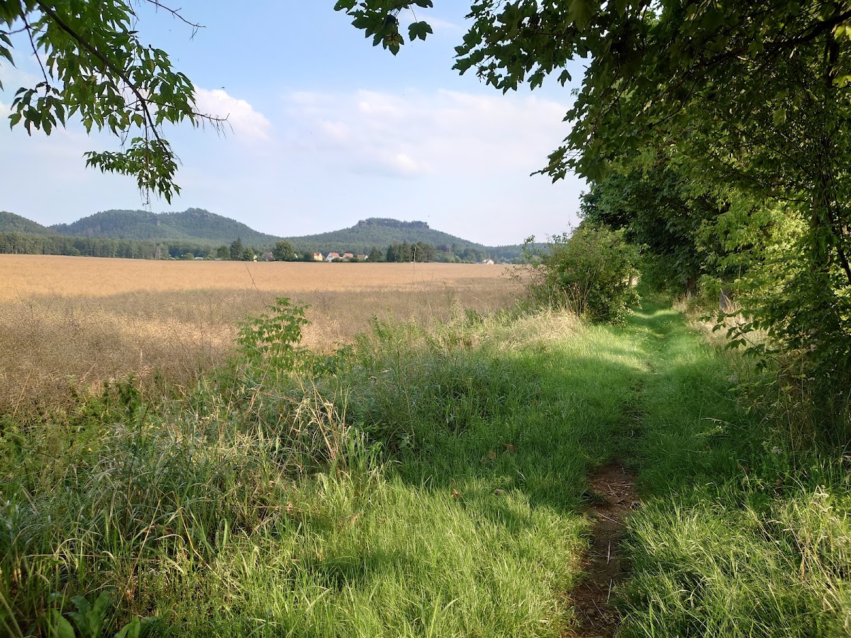 682d2bf09aa80
