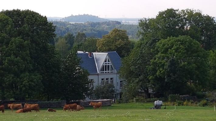 Atelier Dipl. Maler/Grafiker Jochen Fiedler