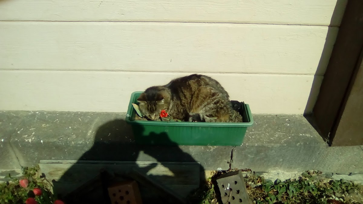 682d2cc65c46d
